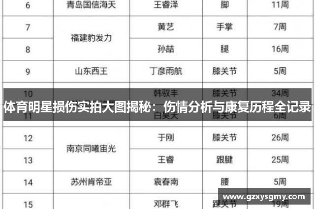 体育明星损伤实拍大图揭秘：伤情分析与康复历程全记录